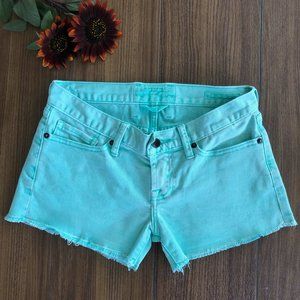 Lucky Brand Size 00/24 Teal Shorts